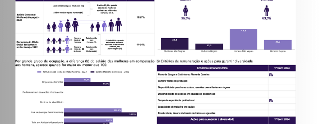 Relatório De Transparência E Igualdade Salarial De Mulheres E Homens – Primeiro Semestre De 2024